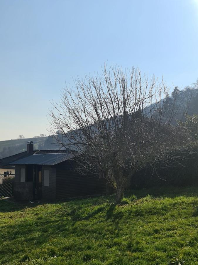 Ferienwohnung Fewo Burg Landeckblick in der Südpfalz Klingenmünster Exterior foto