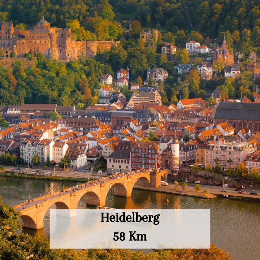 Ferienwohnung Fewo Burg Landeckblick in der Südpfalz Klingenmünster Exterior foto